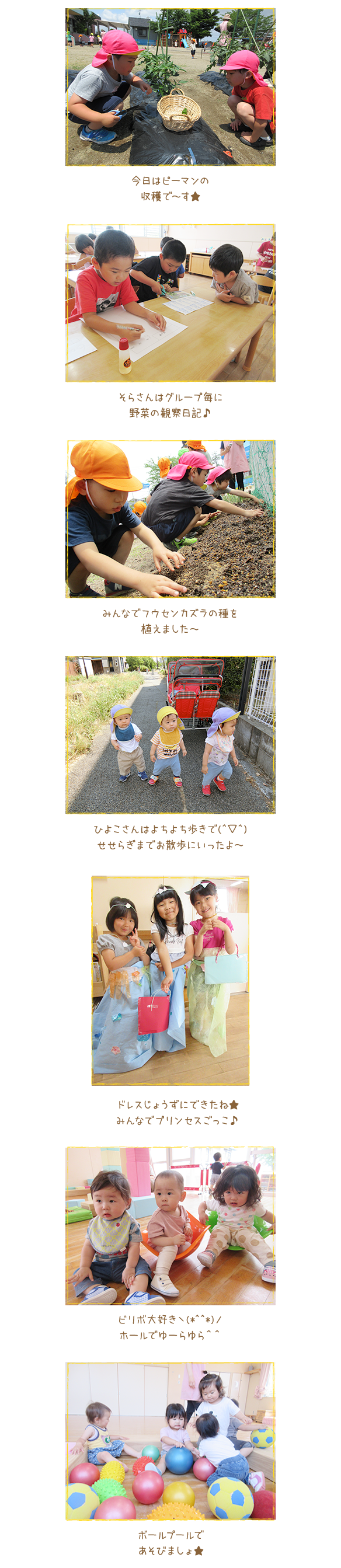 あおぞら日記 新潟市秋葉区幼保連携型認定こども園あおぞら